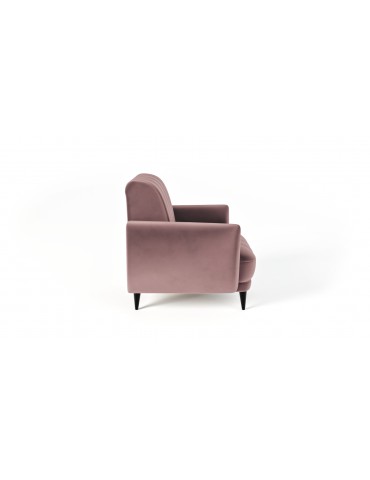 komfortowy fotel Roy - Sofa Basic - Salon Meblowy Empir